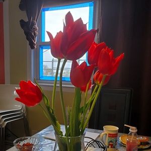 Meet your Posher, Miryan